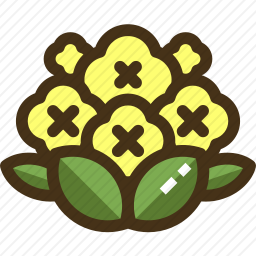 <em>花菜</em>