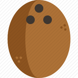 <em>椰子</em>