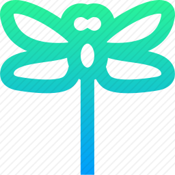 蜻蜓