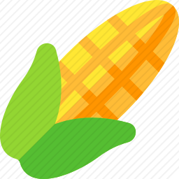 玉米