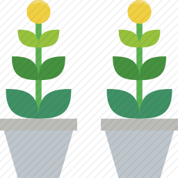 植物