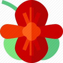 <em>秋海棠</em>