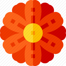 非洲菊