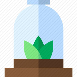 植物