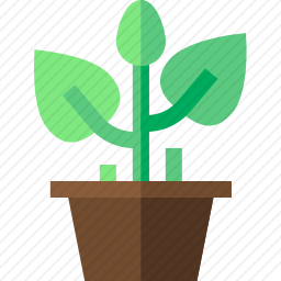 植物