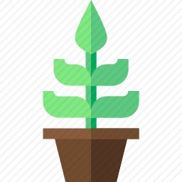 树