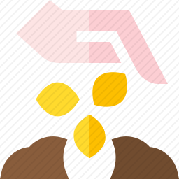 种子