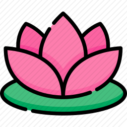 <em>莲花</em>