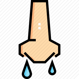 <em>鼻子</em>
