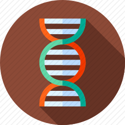 DNA