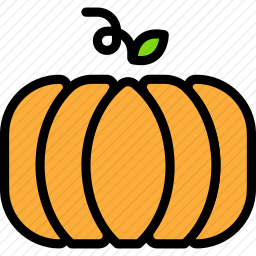 <em>南瓜</em>
