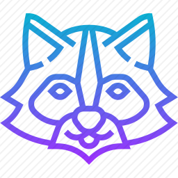 浣熊