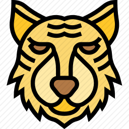 <em>老虎</em>
