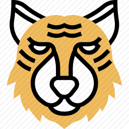 <em>老虎</em>