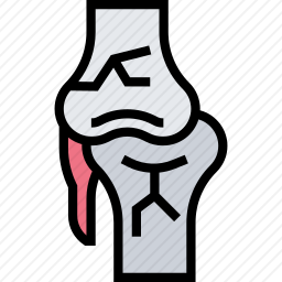 膝