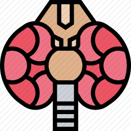 甲状腺