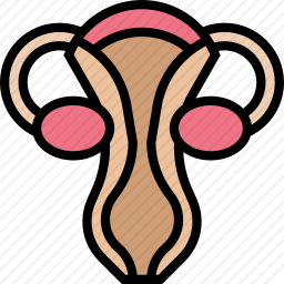 子宫