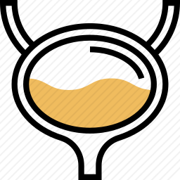 膀胱