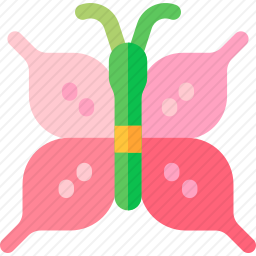 蝴蝶
