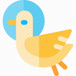 鸽子