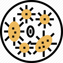 细菌