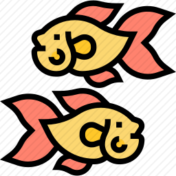 <em>金鱼</em>