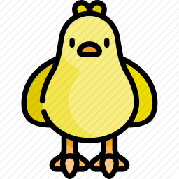 鸡