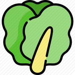 生菜