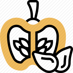 <em>南瓜</em>