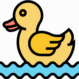 鸭子