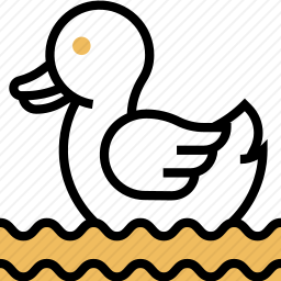 鸭子