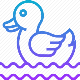 鸭子
