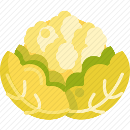 <em>花菜</em>