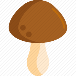 蘑菇
