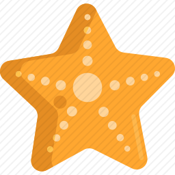 海星