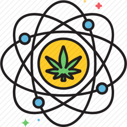 大麻