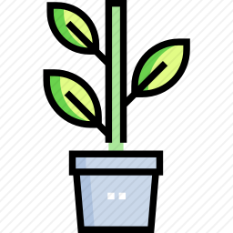 植物