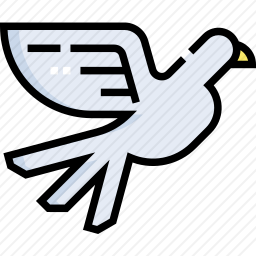 鸟