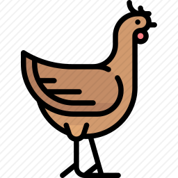 鸡
