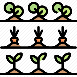 <em>农作物</em>