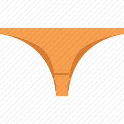 <em>内裤</em>