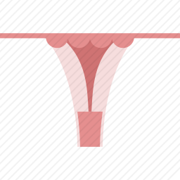 <em>内裤</em>