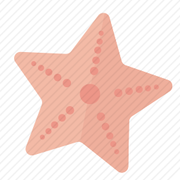 海星