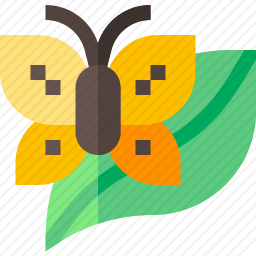 <em>蝴蝶</em>