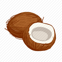 <em>椰子</em>