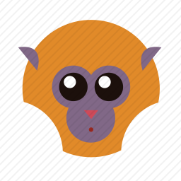 <em>猴子</em>