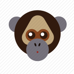 <em>猴子</em>