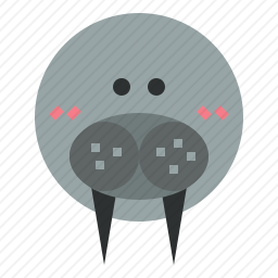 海象