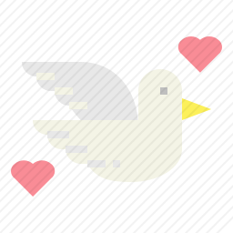 鸽子