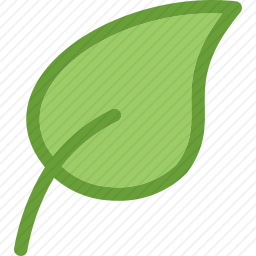 <em>叶子</em>